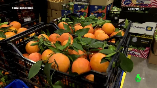 La naranja sudafricana y su "dura" competencia contra la valenciana: "Quieren ahogar a los agricultores" La naranja sudafricana y su "dura" competencia contra la valenciana: "Quieren ahogar a los agricultores"