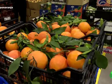 La naranja sudafricana y su &quot;dura&quot; competencia contra la valenciana: &quot;Quieren ahogar a los agricultores&quot;