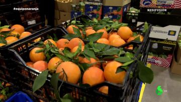 La naranja sudafricana y su "dura" competencia contra la valenciana: "Quieren ahogar a los agricultores"