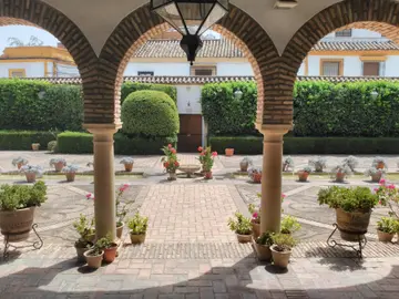 Palacio de Viana de Córdoba, un paseo entre patios y flores Palacio de Viana de Córdoba, un paseo entre patios y flores