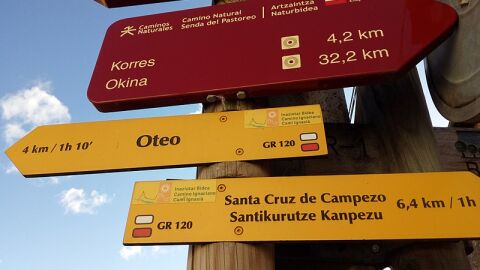 Camino Ignaciano