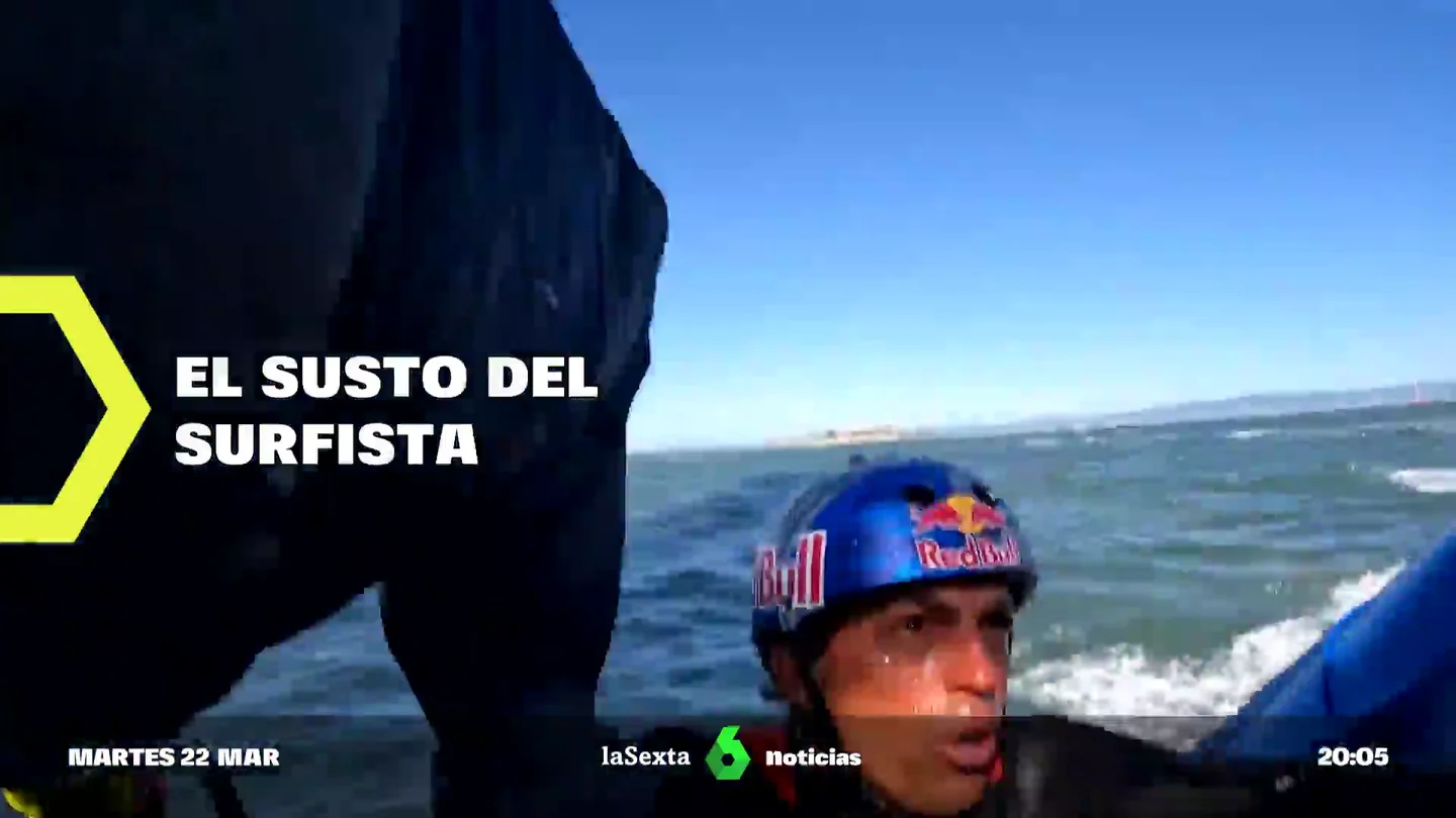 Surf Surf