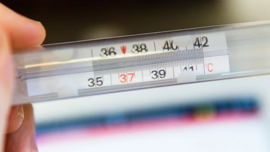 Volvió la gripe: estos son los síntomas y así puedes protegerte del virus influenza Volvió la gripe: estos son los síntomas y así puedes protegerte del virus influenza