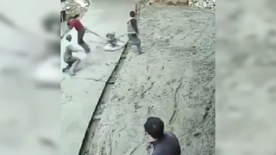 Alisadora Alisadora