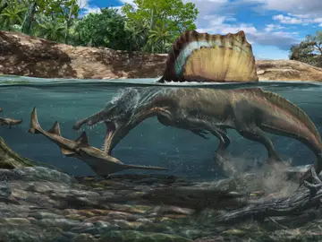 Spinosaurus Spinosaurus