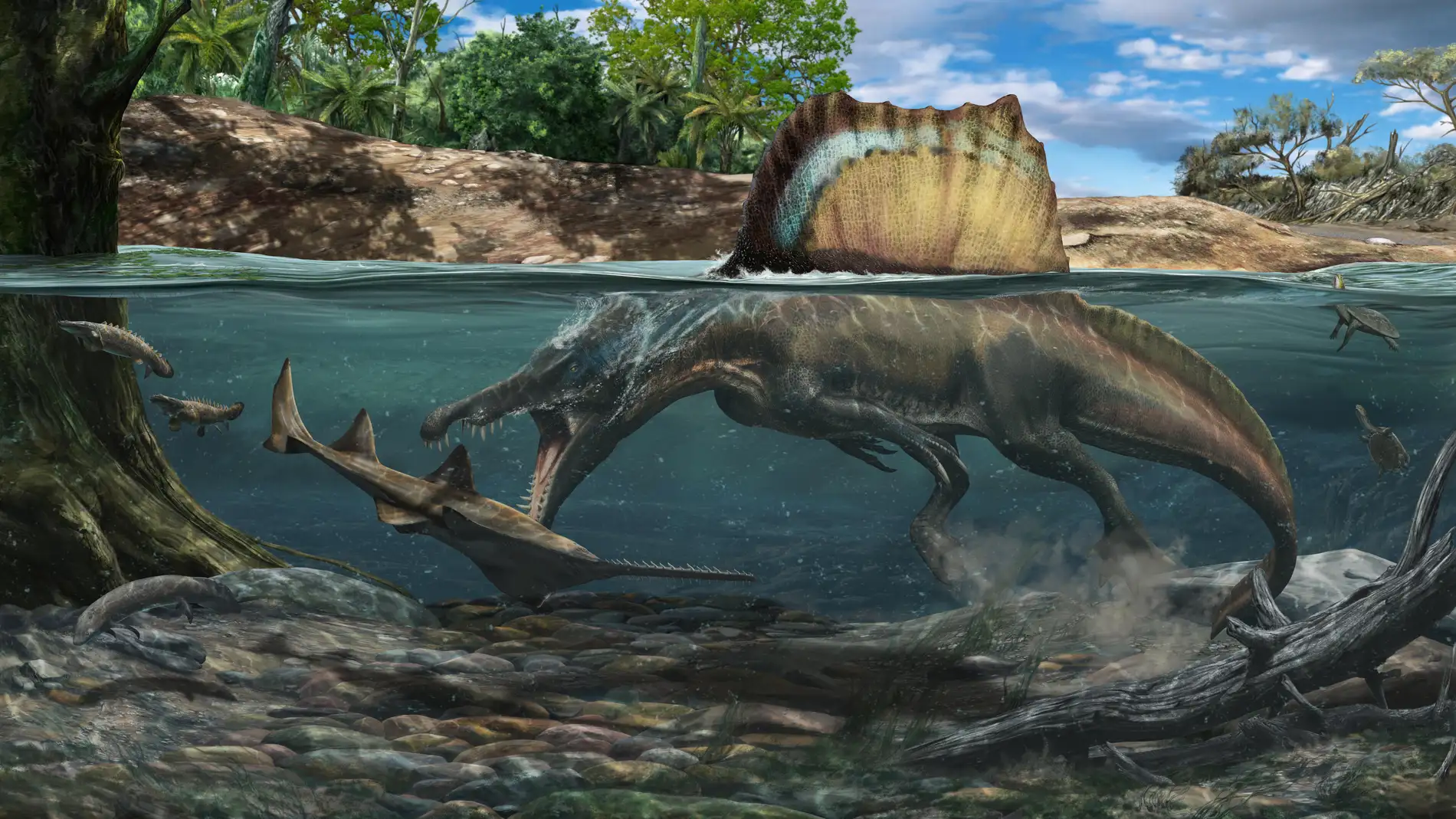 Así logró cazar bajo el agua el 'Spinosaurus', el dinosaurio carnívoro más  grande del mundo