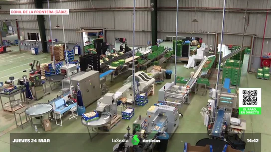 sectores afectados sectores afectados