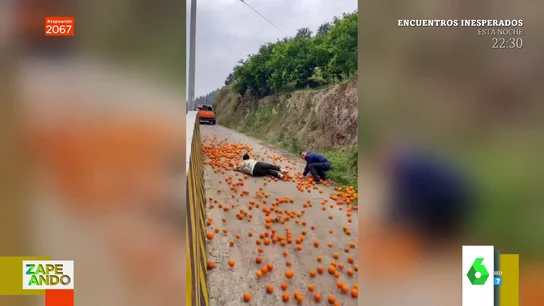 naranjas naranjas