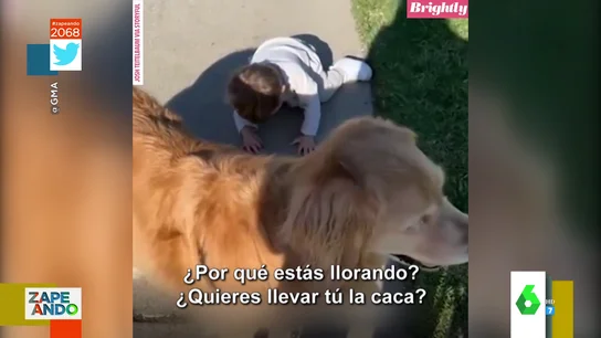 Pataleta de un niño en mitad de la calle Pataleta de un niño en mitad de la calle