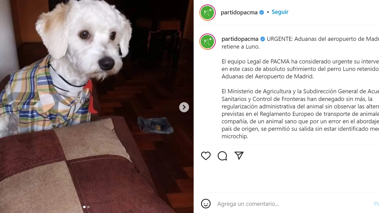 Luno, el perro atrapado en Barajas Luno, el perro atrapado en Barajas