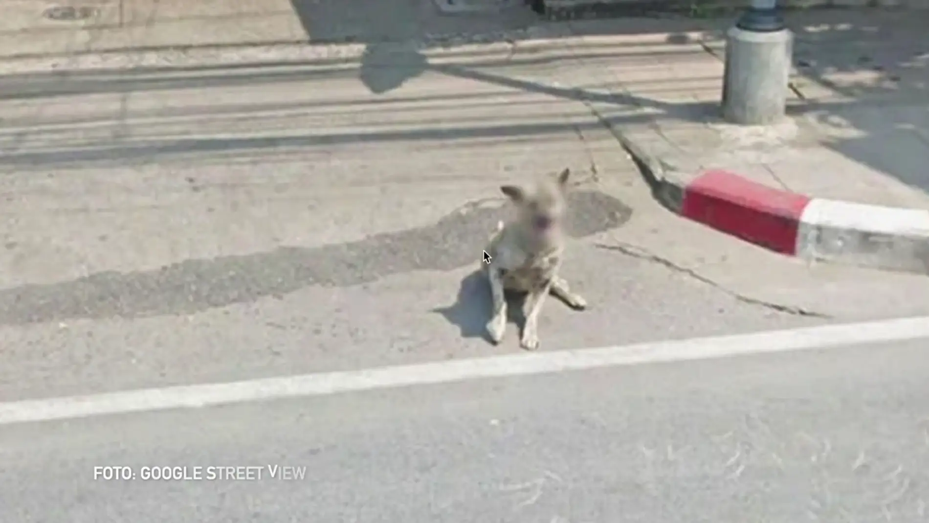 ¿Por qué Google pixela la cara de los perros en Street View?