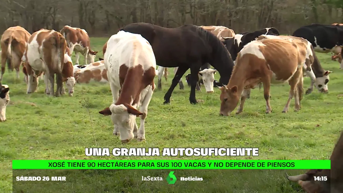 Esta granja gallega es autosuficiente: así esquiva la subida del precio de la luz y la escasez de pienso Esta granja gallega es autosuficiente: así esquiva la subida del precio de la luz y la escasez de pienso