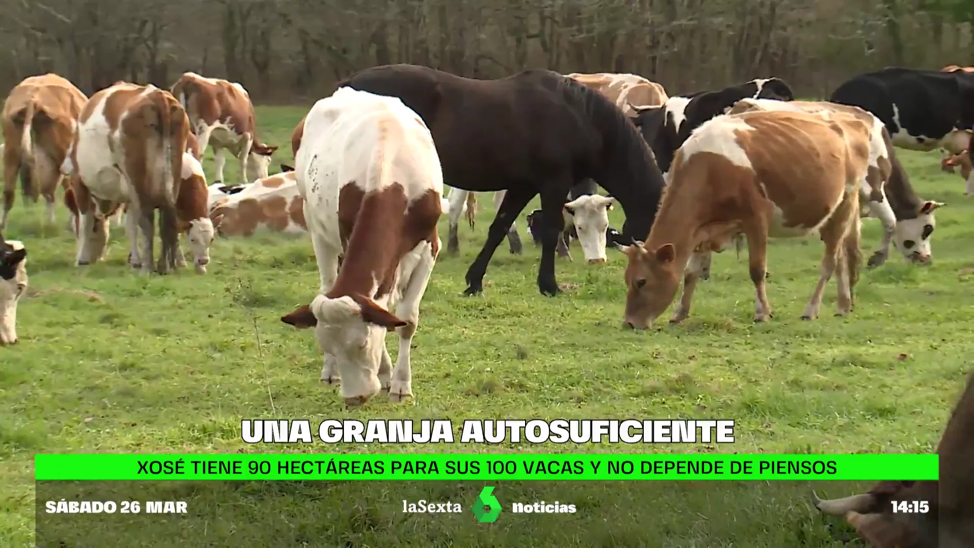 Esta granja gallega es autosuficiente: así esquiva la subida del precio de la luz y la escasez de pienso