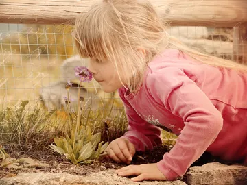 Los olores te transportan a momentos de tu vida Los olores te transportan a momentos de tu vida