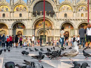 Plaza San Marcos de Venecia
