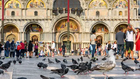 Plaza San Marcos de Venecia Plaza San Marcos de Venecia
