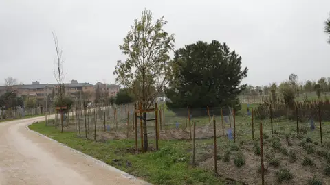 Bosque Metropolitano de Madrid Bosque Metropolitano de Madrid