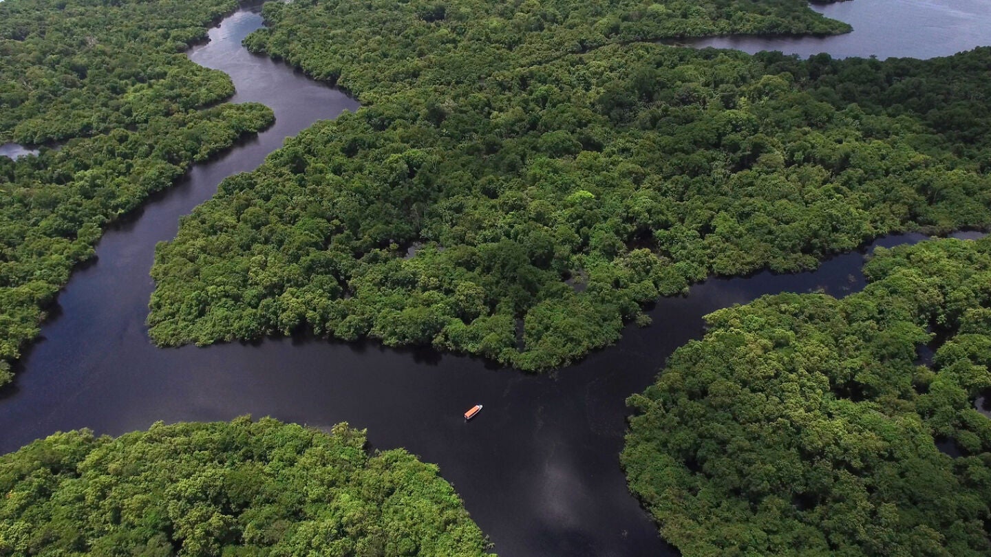 R&iacute;o Amazonas