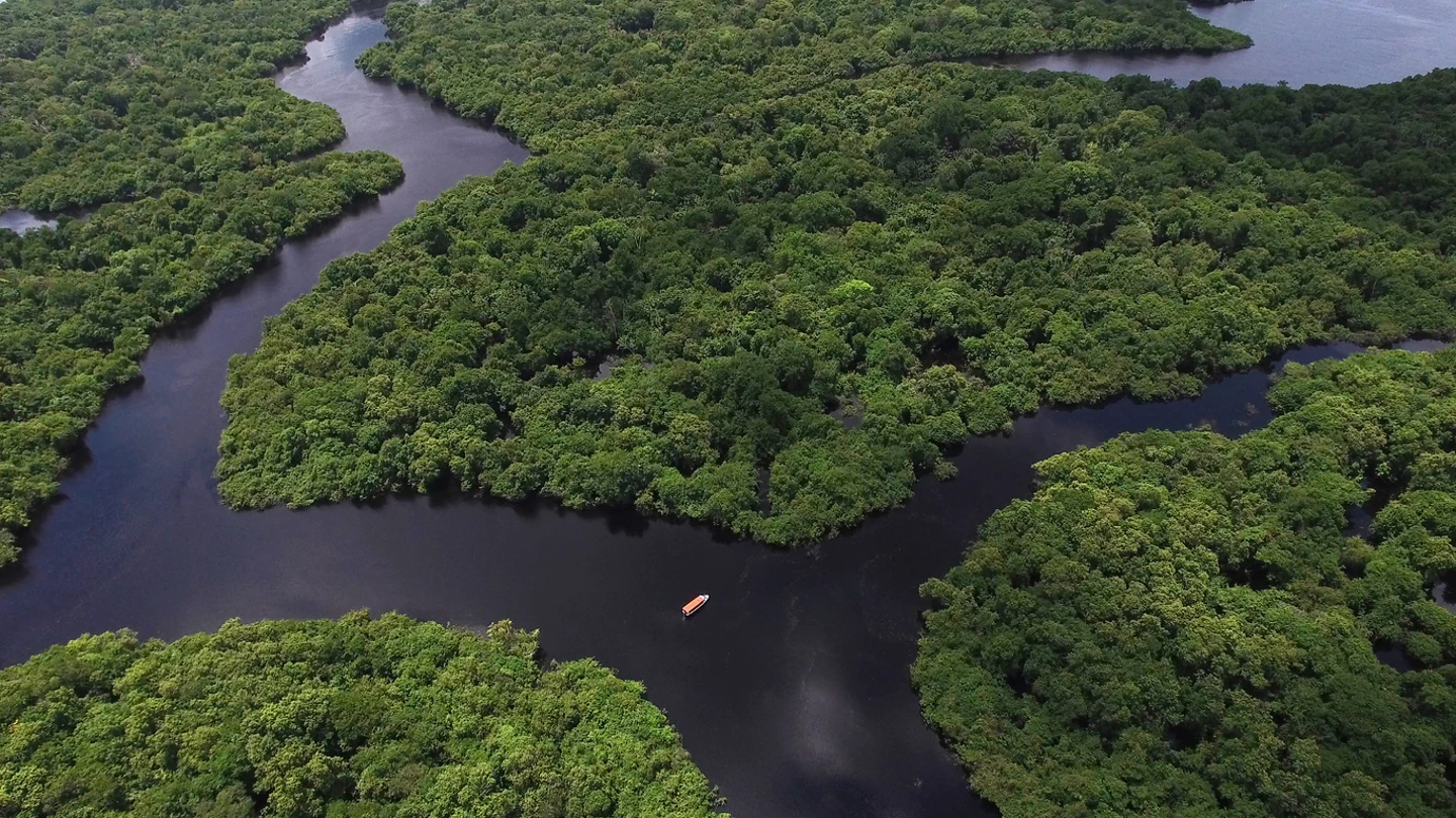 Río Amazonas Río Amazonas