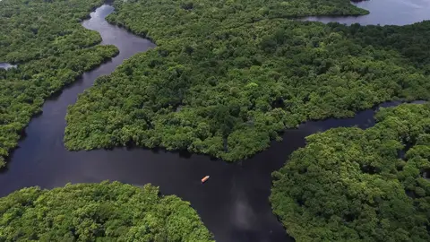 Río Amazonas Río Amazonas