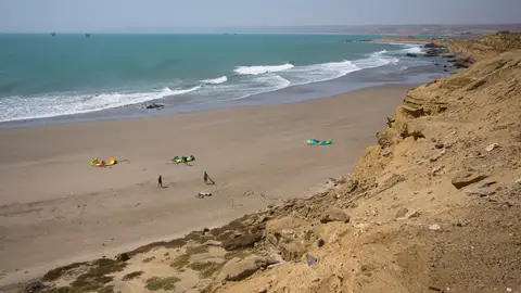 Lobitos Lobitos