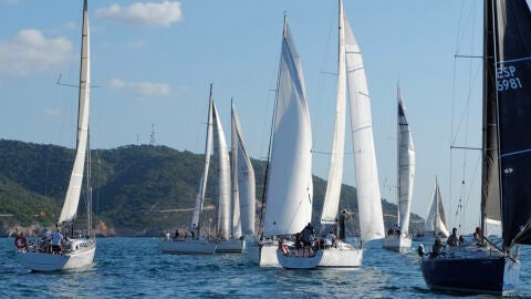 Regata Ophivsa