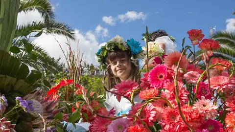 Madeira Madeira