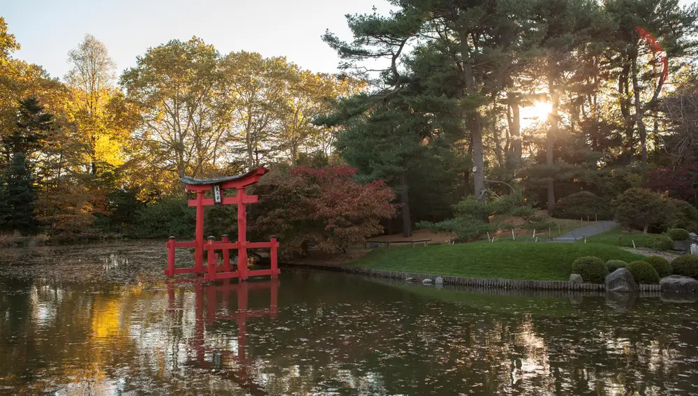 Jardín Botánico japonés de Brooklyn