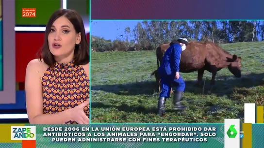 Qué ocurre si bebes leche de una vaca que ha tomado antibióticos Qué ocurre si bebes leche de una vaca que ha tomado antibióticos