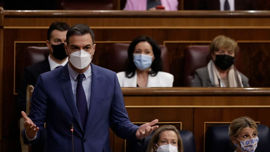 Pedro Sánchez en el Congreso de los Diputados Pedro Sánchez en el Congreso de los Diputados