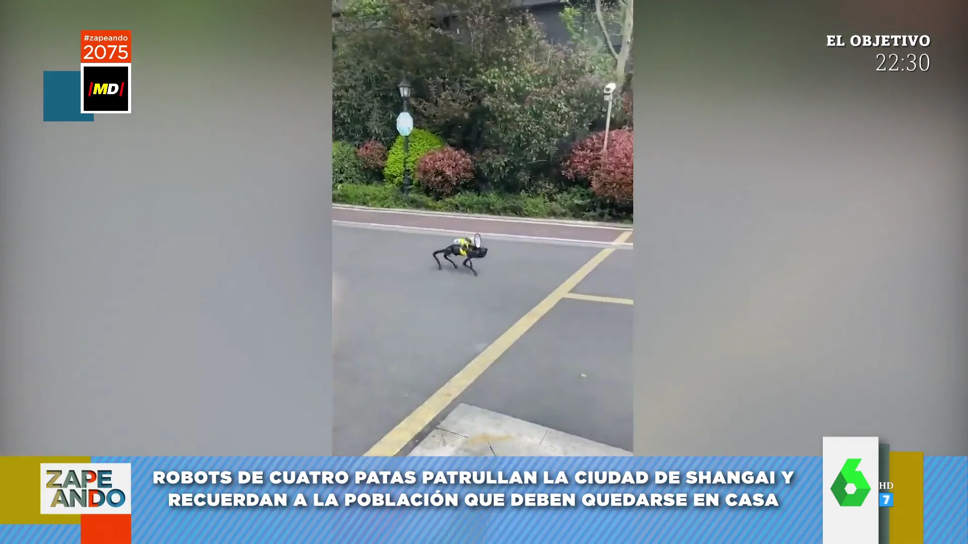 perro robot