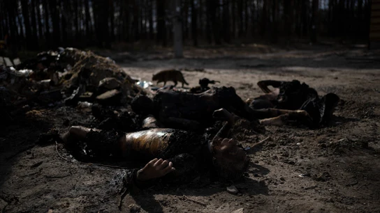 Cuerpos carbonizados en las calles de Bucha Cuerpos carbonizados en las calles de Bucha