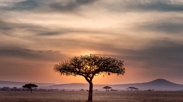 Tanzania
