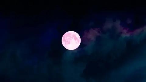 Luna llena rosa Luna llena rosa