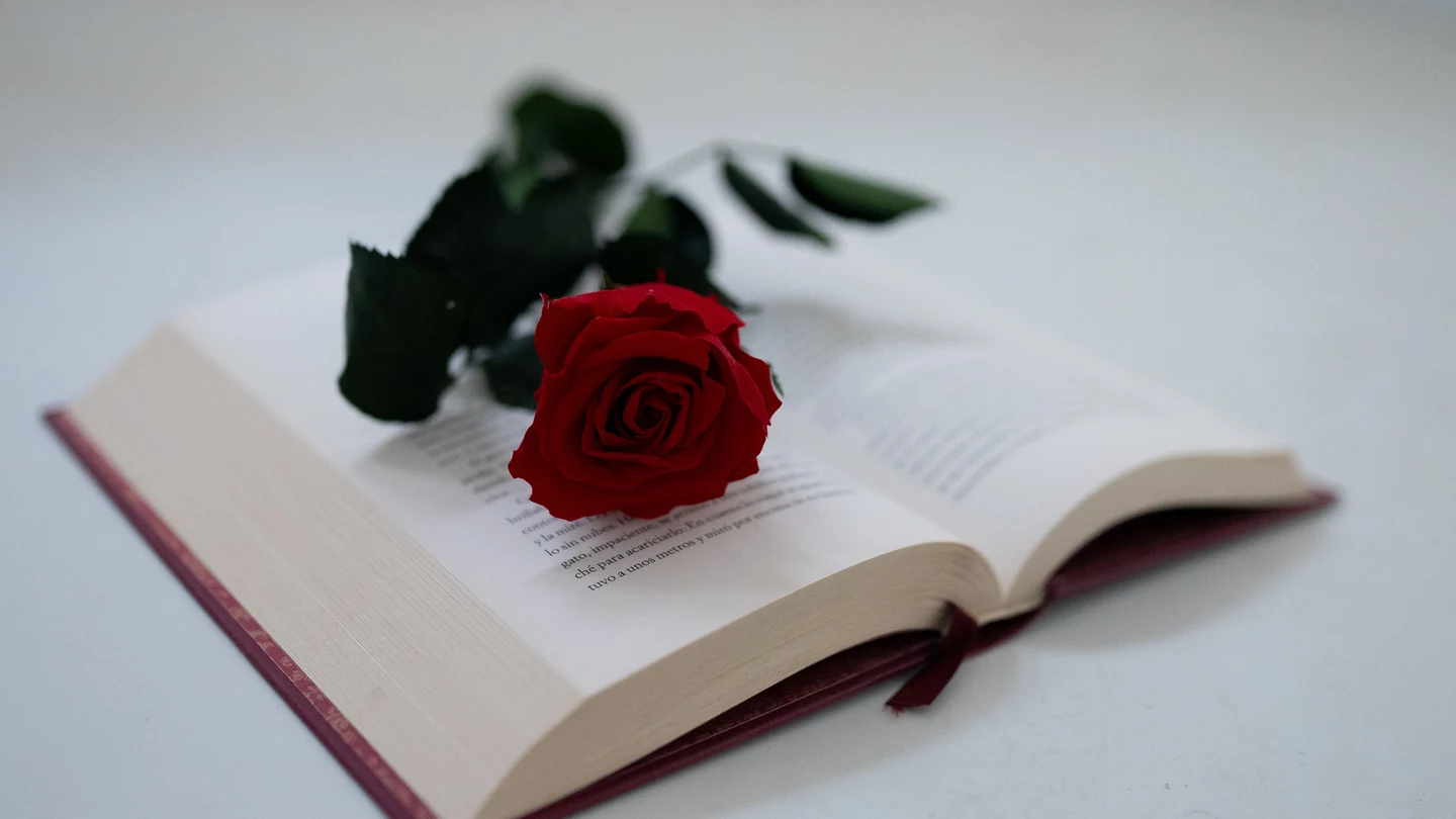Por qué se regala un libro y una rosa en Cataluña el día de San Jorge Por qué se regala un libro y una rosa en Cataluña el día de San Jorge