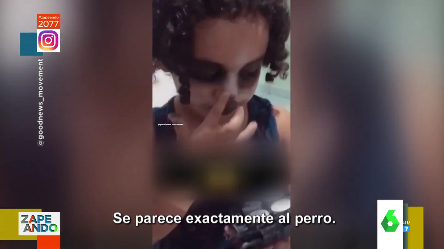 El adorable viral de una niña que roba el maquillaje a su madre para pintarse y parecerse a su "perro Francisco" El adorable viral de una niña que roba el maquillaje a su madre para pintarse y parecerse a su "perro Francisco"