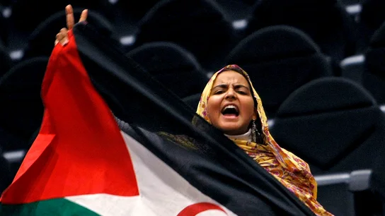 Imagen de archivo de una mujer con una bandera saharaui Imagen de archivo de una mujer con una bandera saharaui