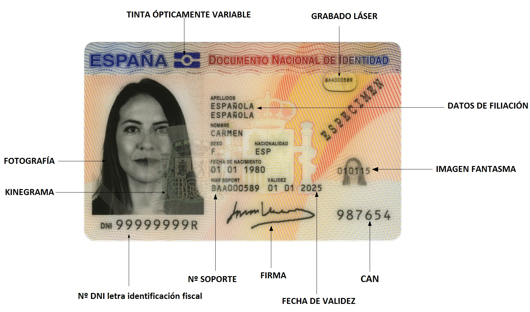 Este es el motivo por el que tu DNI lleva una letra y no otra Información útil