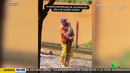 bachata cocodrilo bachata cocodrilo