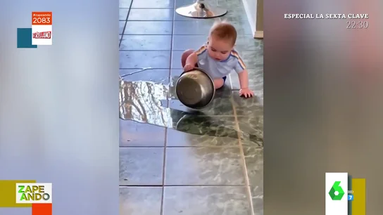 perro miki perro miki