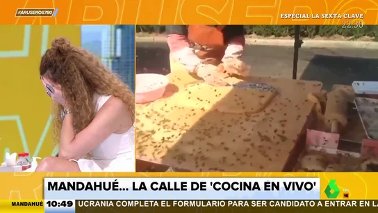 cocinero abejas cocinero abejas
