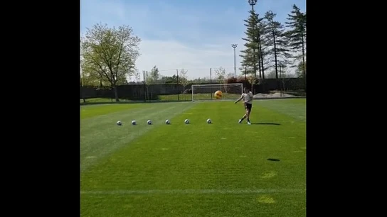 Zlatan Ibrahimovic Zlatan Ibrahimovic