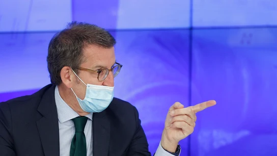 El líder del PP, Alberto Núñez Feijóo, preside la reunión del Comité Ejecutivo Nacional El líder del PP, Alberto Núñez Feijóo, preside la reunión del Comité Ejecutivo Nacional