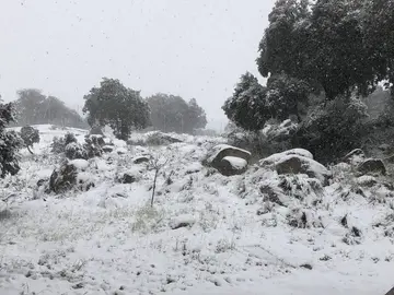 Ávila cubierta de nieve en abril Ávila cubierta de nieve en abril