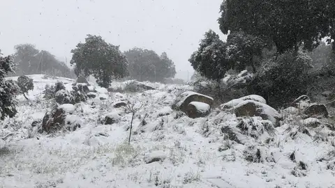 Ávila cubierta de nieve en abril Ávila cubierta de nieve en abril