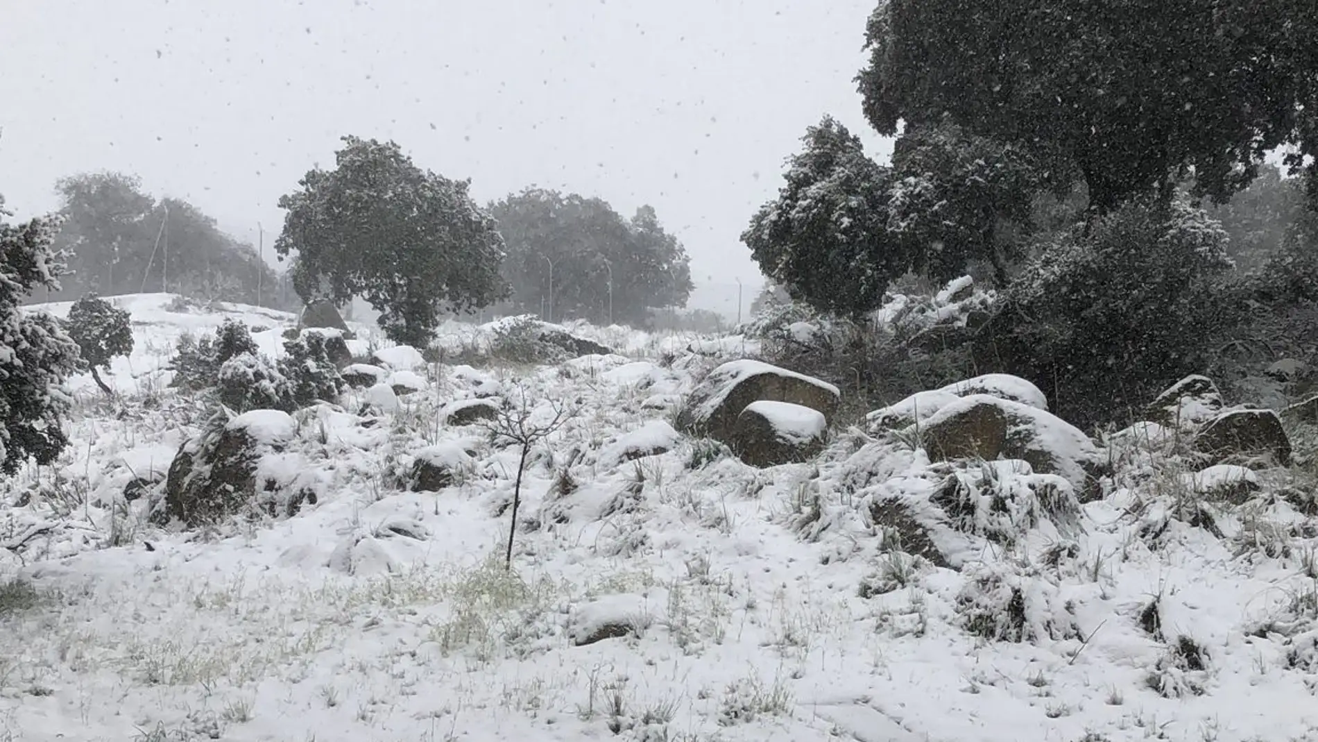 Ávila cubierta de nieve en abril