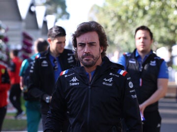 Fernando Alonso