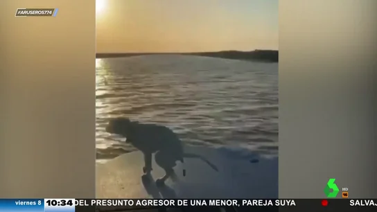 ¿Quién quieres que gane el AruSummer de hoy? ¿Quién quieres que gane el AruSummer de hoy?