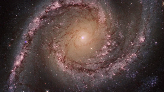 Los agujeros negros 'devoran' miles de estrellas para aumentar su tamaño Destrucción estela