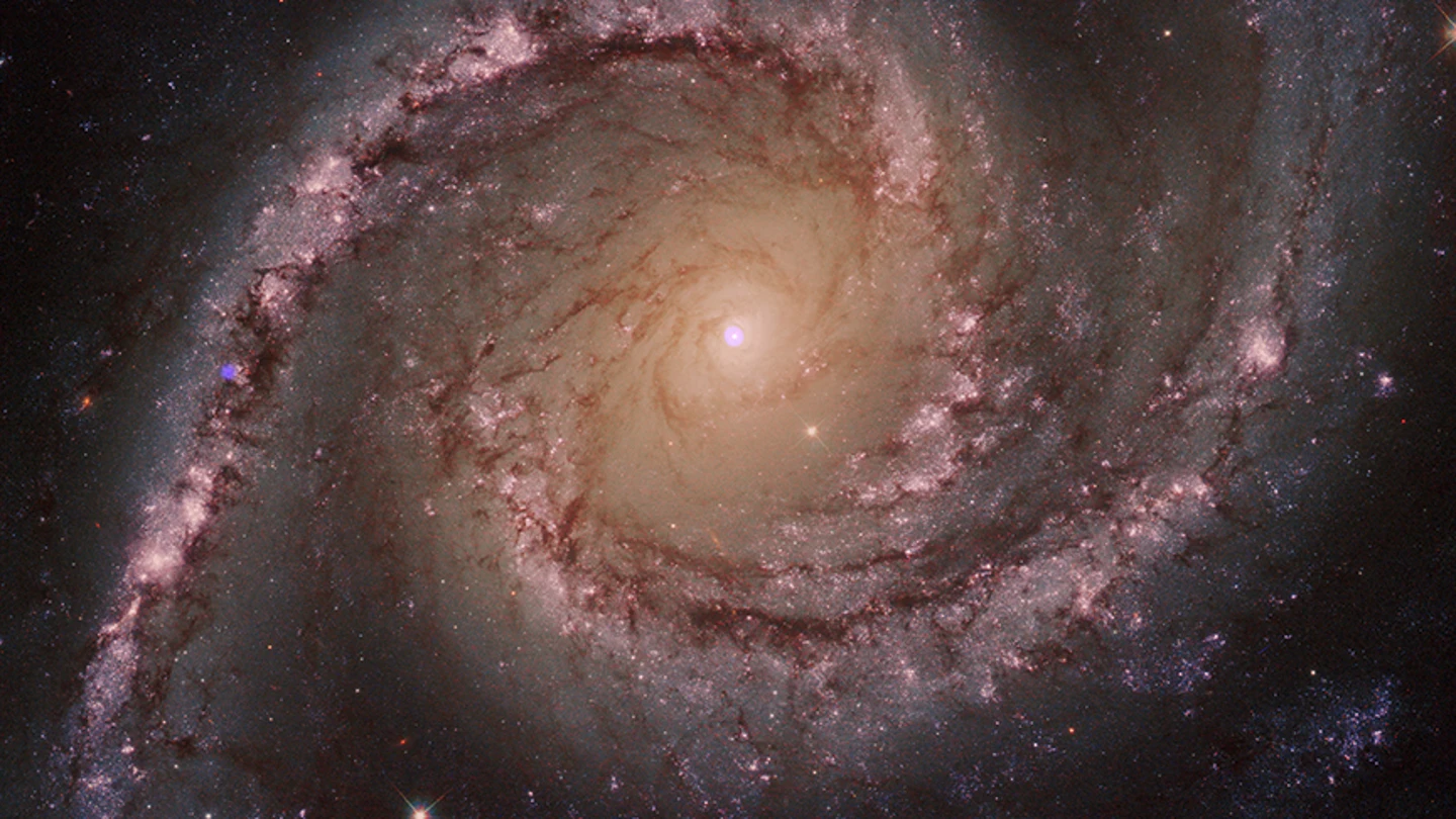 Los agujeros negros 'devoran' miles de estrellas para aumentar su tamaño Destrucción estela